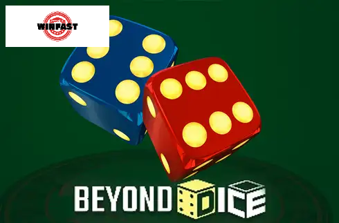 Beyond Dice